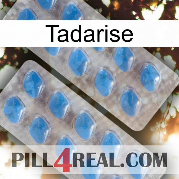 Tadarise 23.jpg